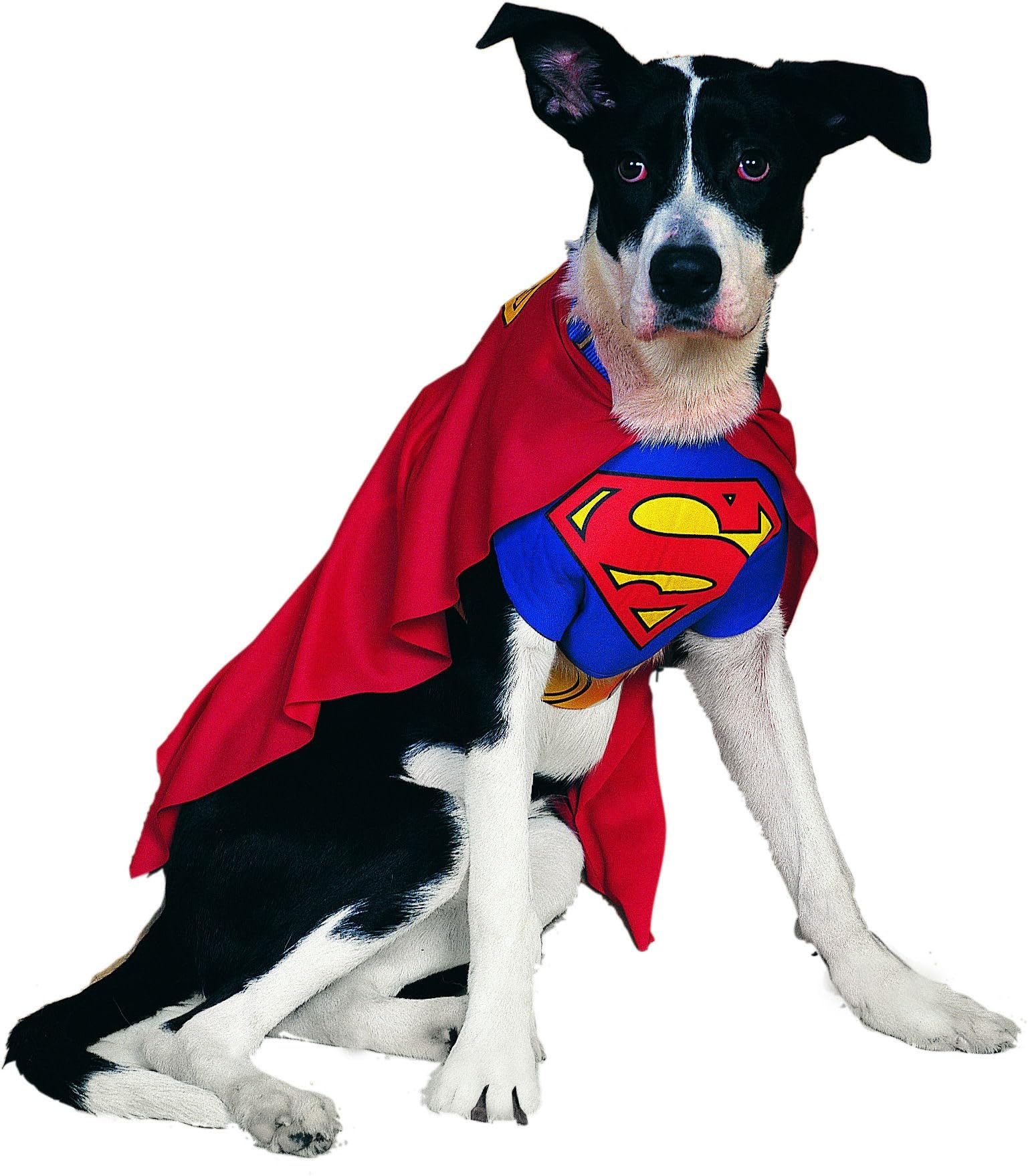 rubie-s-deluxe-superman-haustierkost-m-hund-gr-l-blau image 2