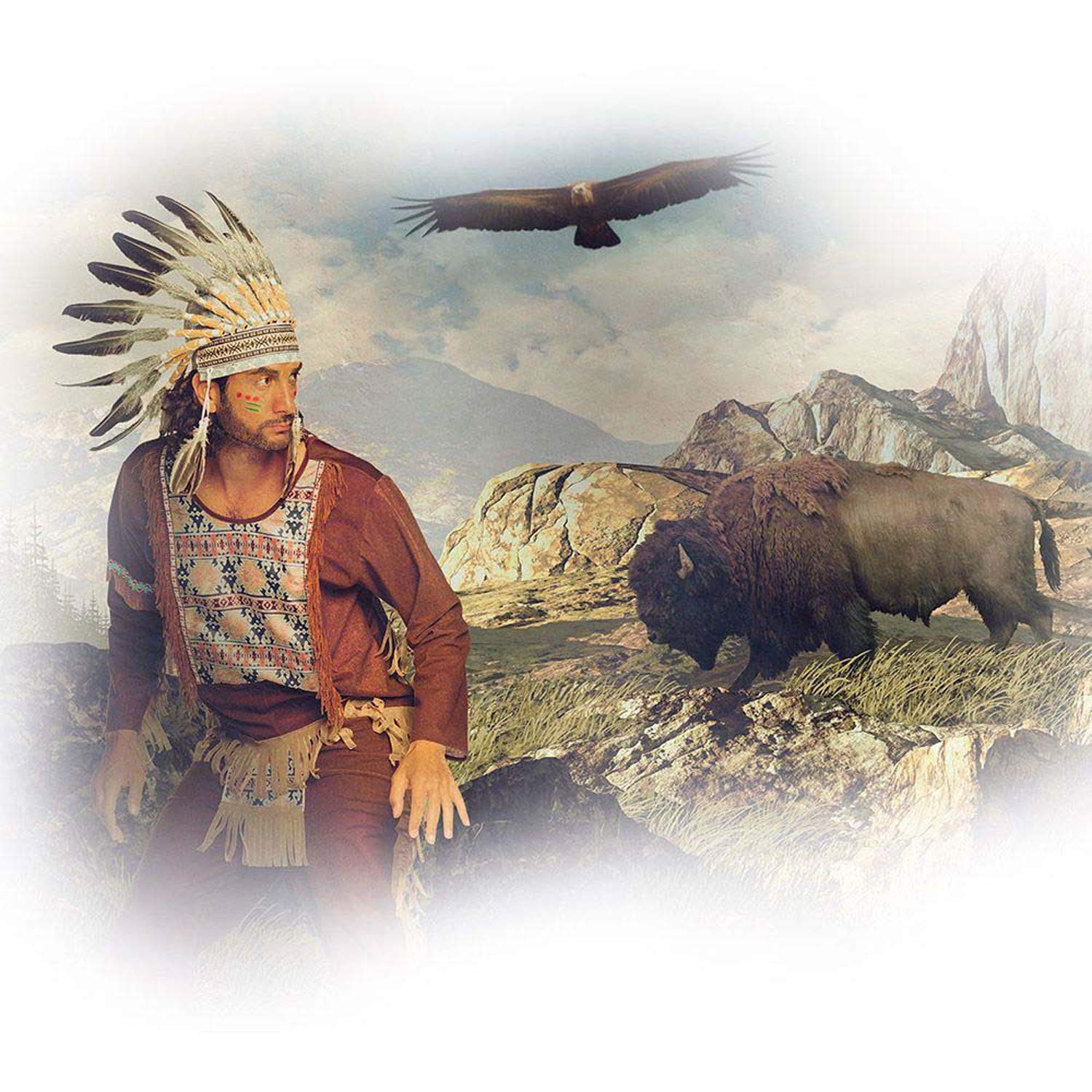 boland-headwear-indianer-kopfschmuck-federn-perlen image 5
