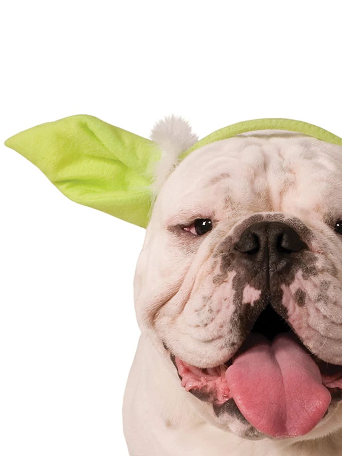 rubie-s-deluxe-yoda-hundekopfbedeckung-m-l-hundem-tze image 2