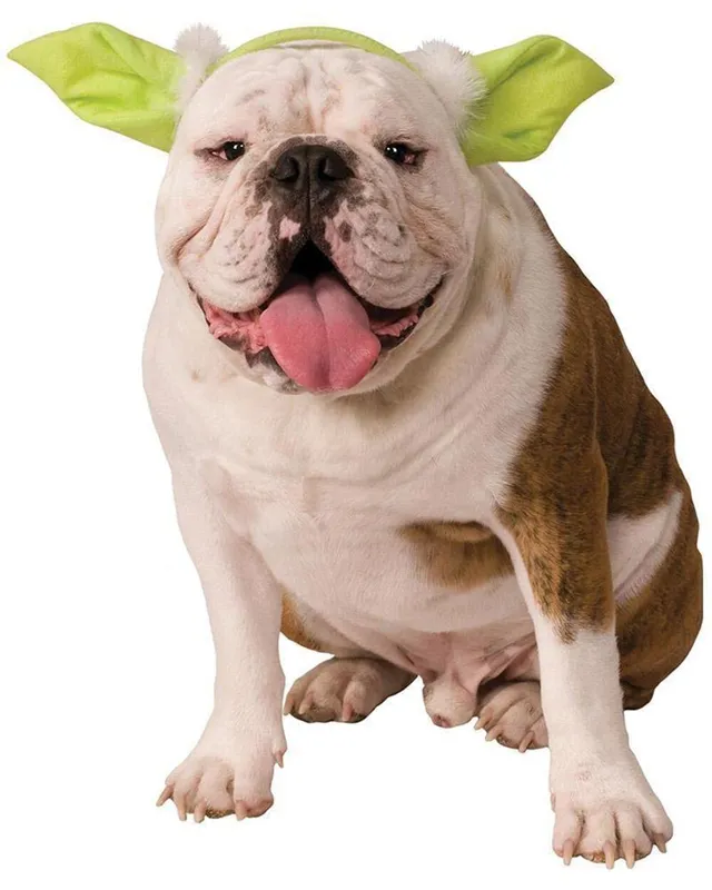rubie-s-deluxe-yoda-hundekopfbedeckung-m-l-hundem-tze image 1