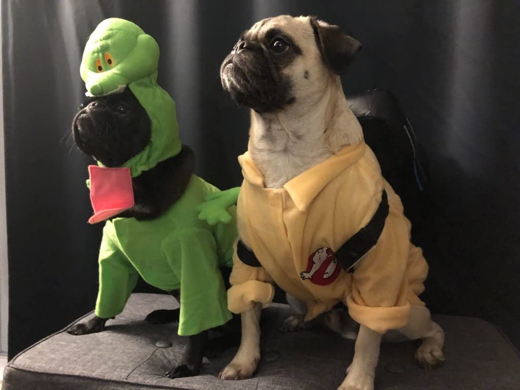 Mega lustig