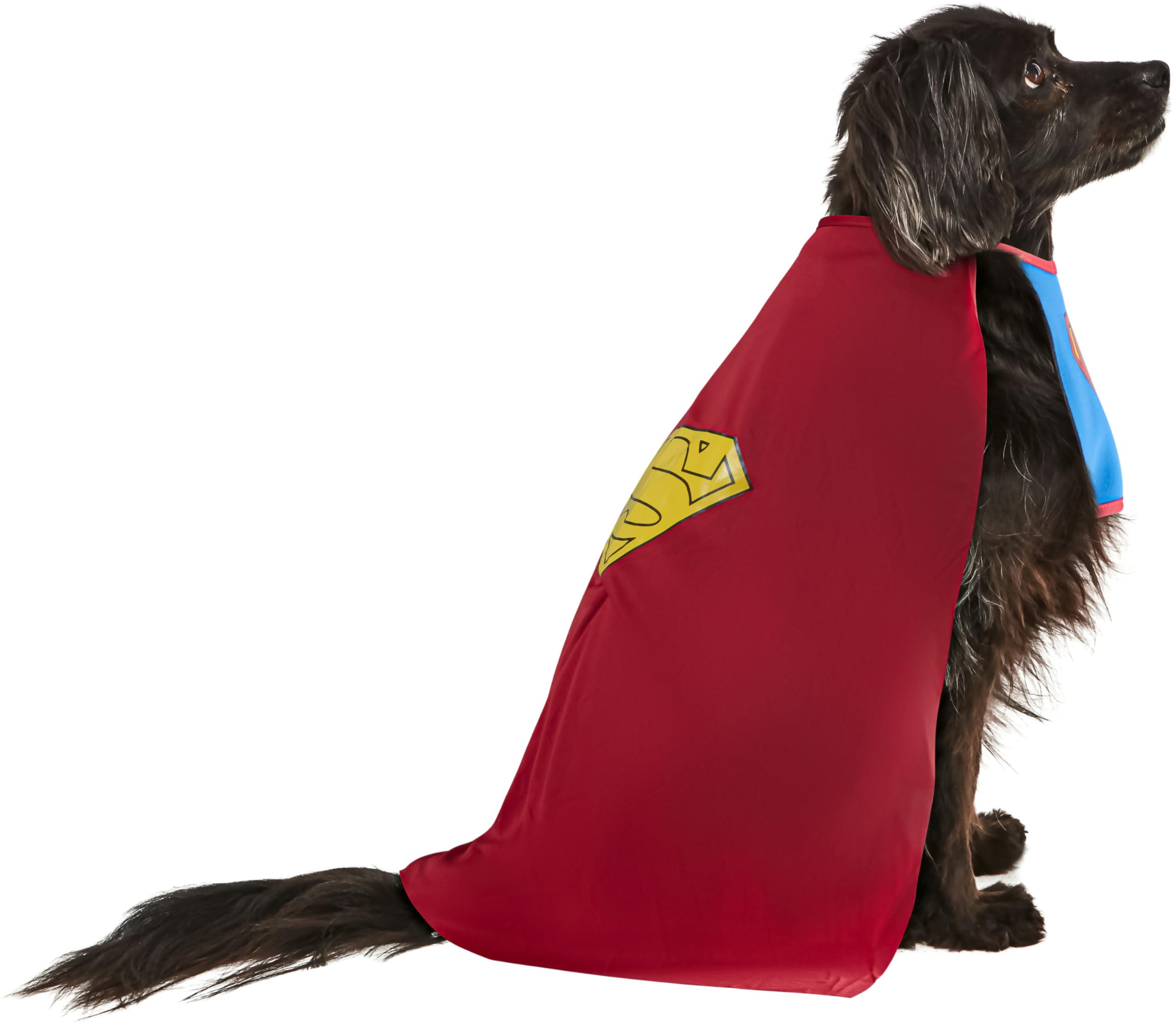 rubie-s-deluxe-superman-haustierkost-m-hund-gr-l-blau image 7
