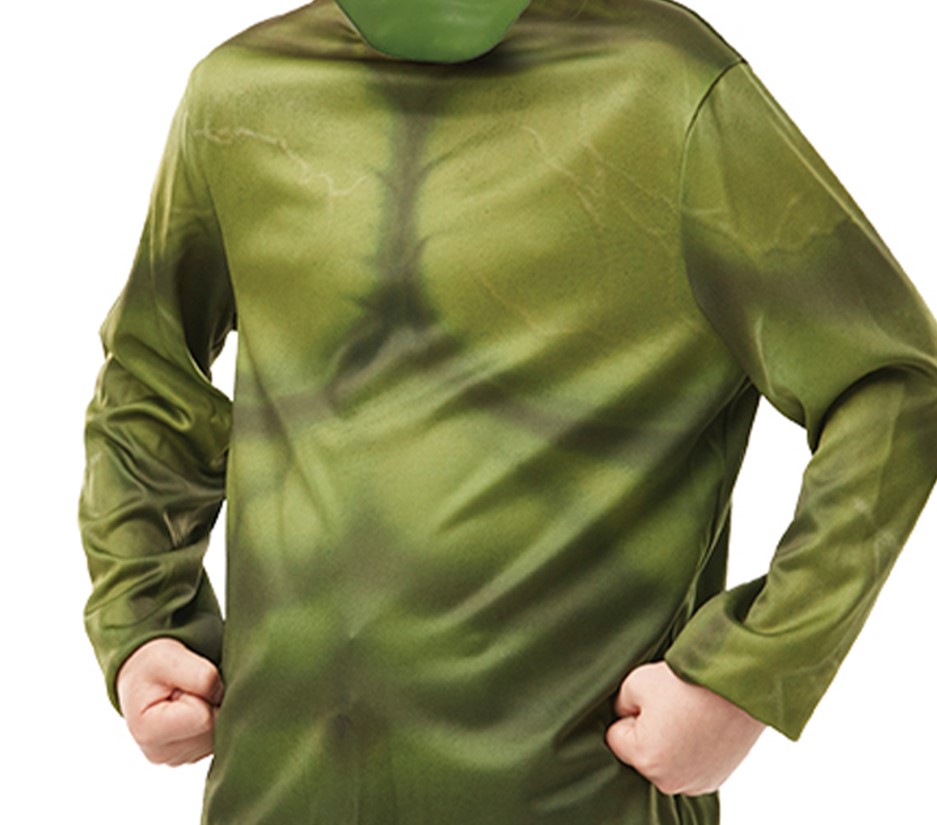 rubies-france-hulk-top-klassik-muskel-shirt-gr-n-mit-pvc-maske image 3