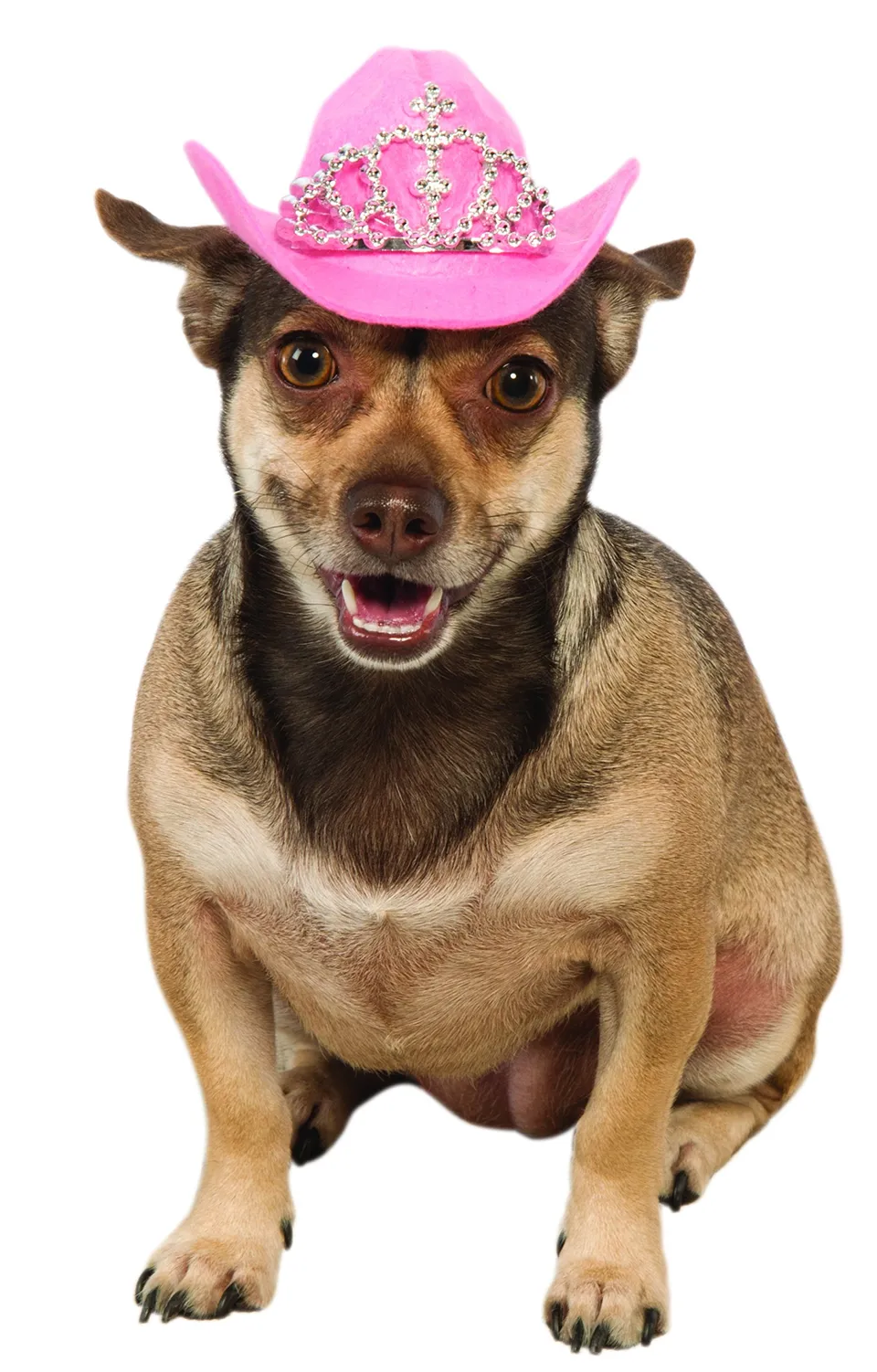 rubie-s-deluxe-cowgirl-hut-hundekost-m-pink-m-l-mit-tiara image 1