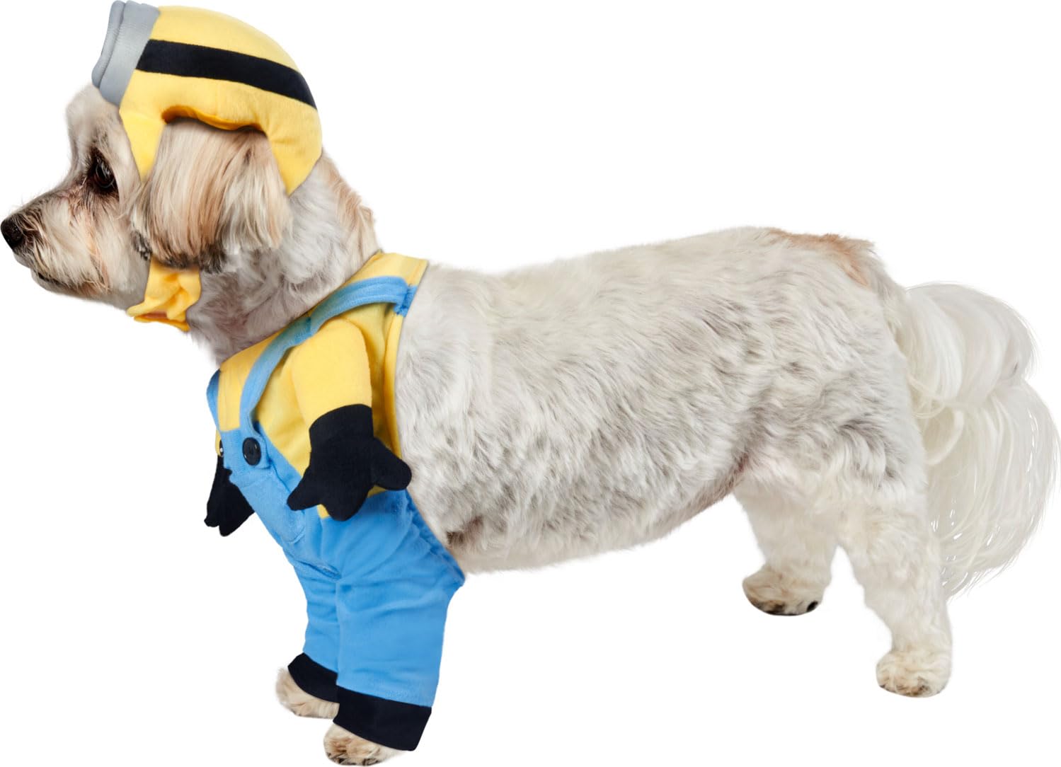 rubie-s-deluxe-minion-bob-hundekost-m-xs-minion image 2