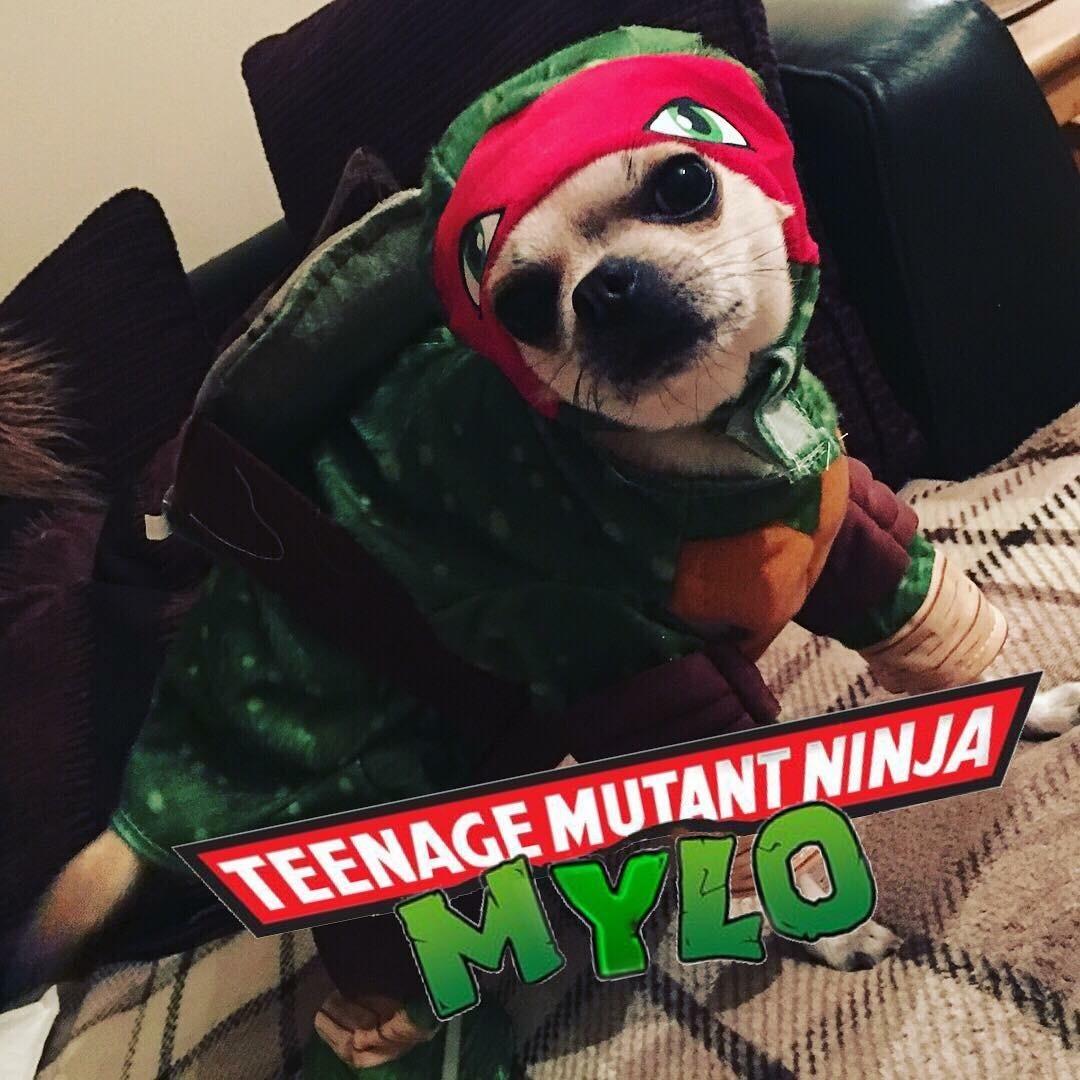 Mega lustig