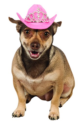 rubie-s-deluxe-cowgirl-hut-hundekost-m-pink-m-l-mit-tiara image 8