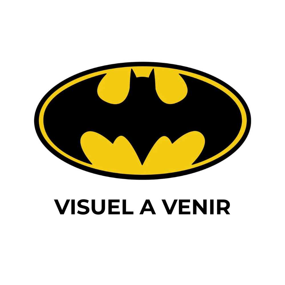 rubies-france-batgirl-accessoire-kit-erwachsene-maske-mit-manschetten image 1