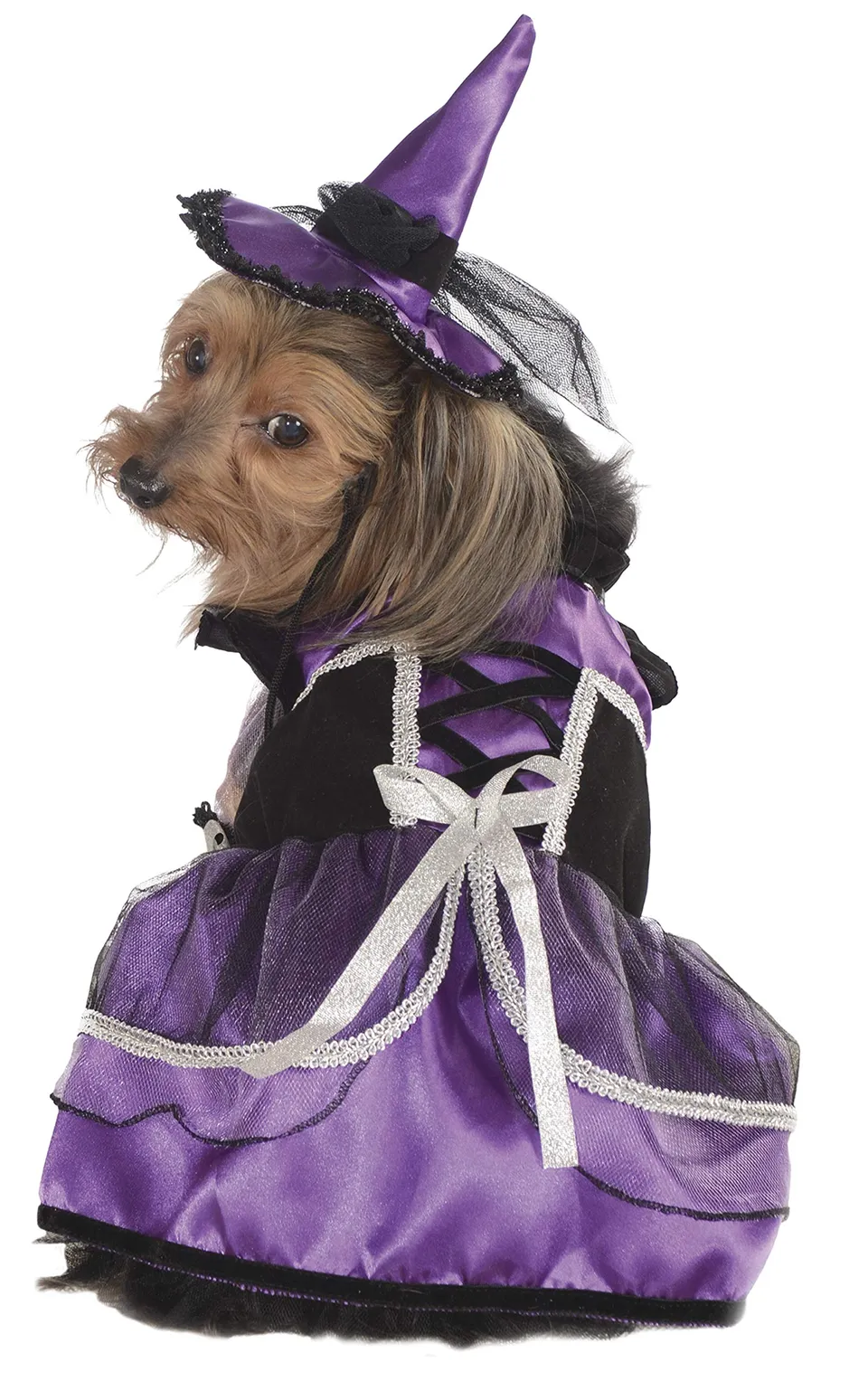 rubie-s-deluxe-purple-witch-haustierkost-m-l-lila image 1