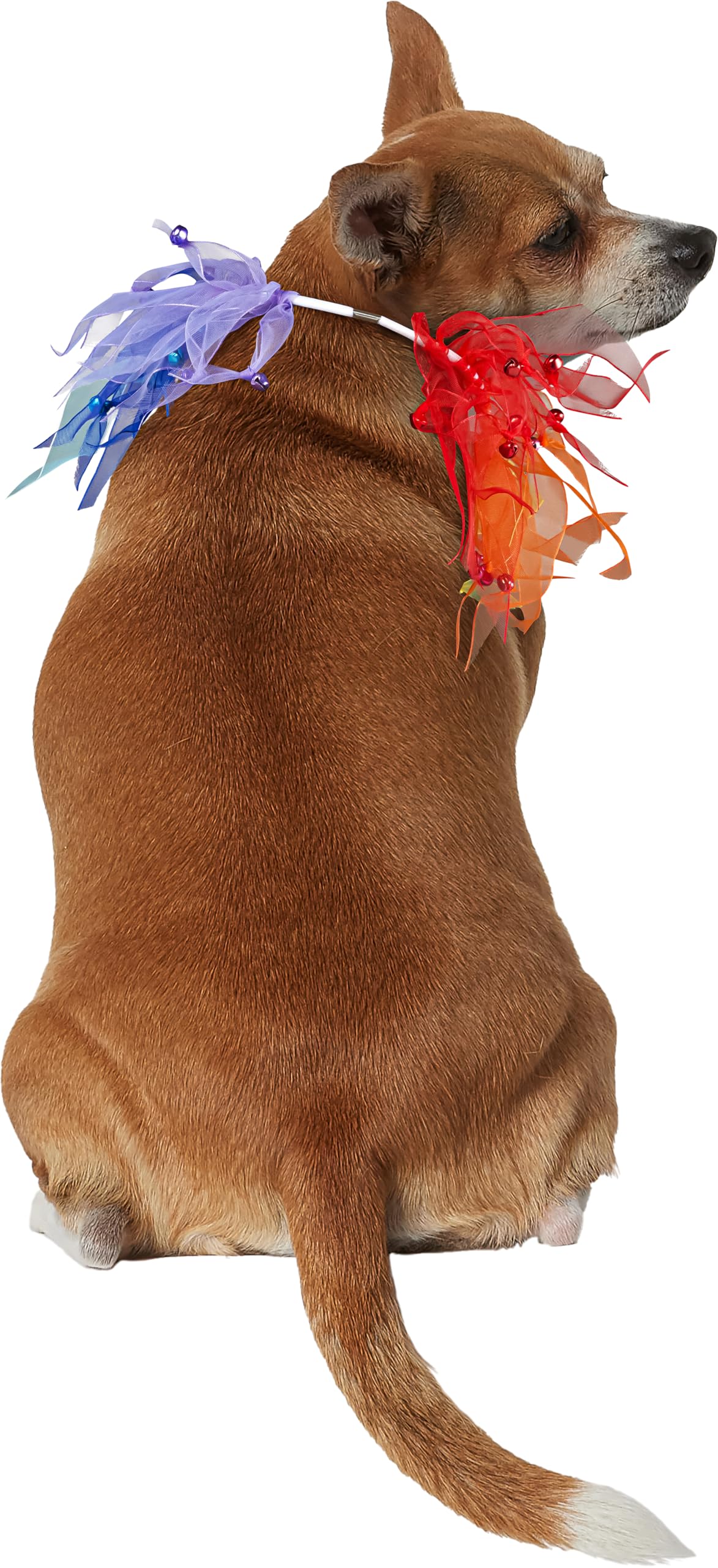 rubie-s-deluxe-fancy-rainbow-hundehalsband-one-size image 2