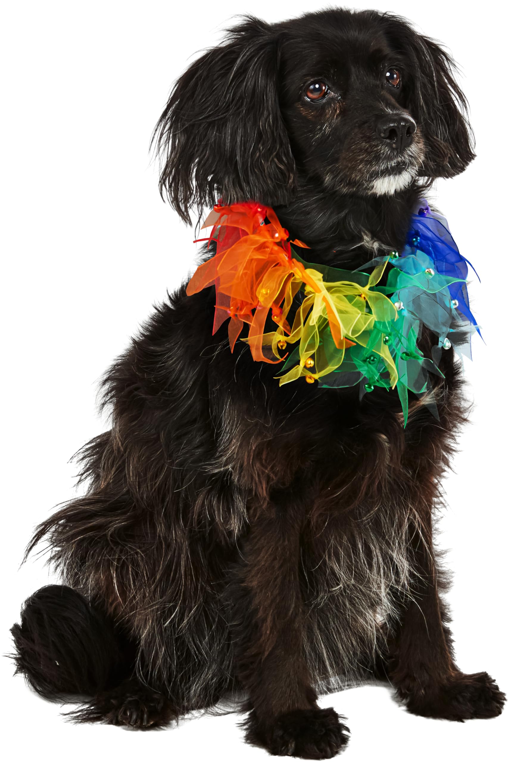 rubie-s-deluxe-fancy-rainbow-hundehalsband-one-size image 1