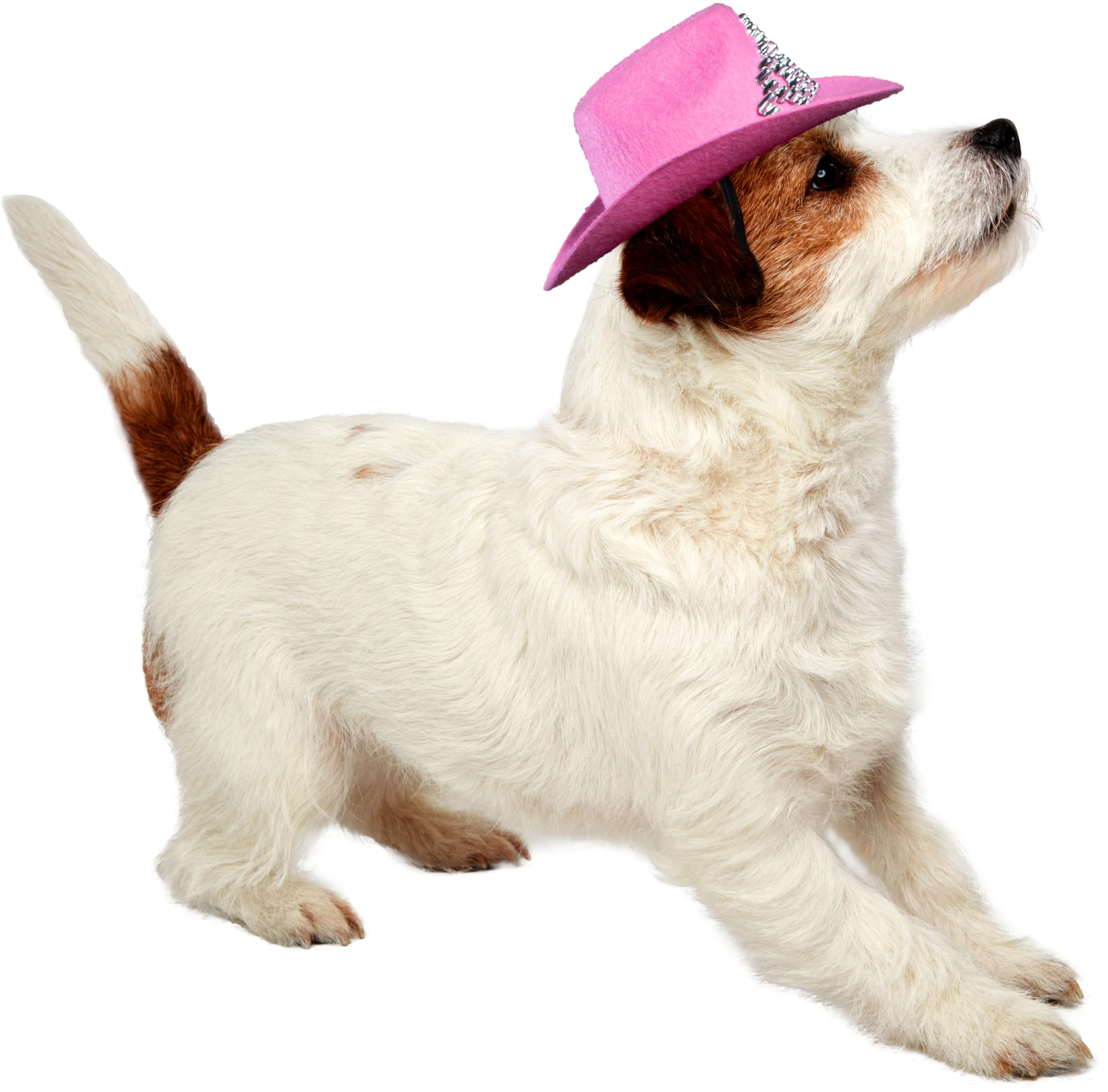 rubie-s-deluxe-cowgirl-hut-hundekost-m-pink-m-l-mit-tiara image 3