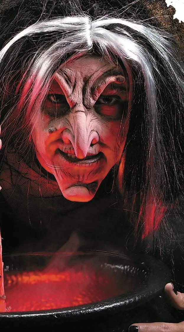 rubie-s-deluxe-reel-f-x-evil-witch-schminkset-hexe image 1