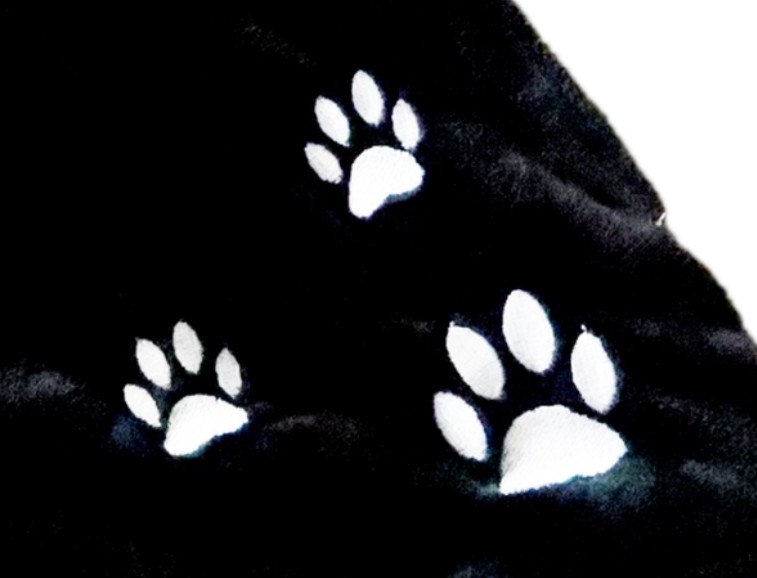 rubies-cape-katze-schwarz-gr-e-2-3-jahre image 4