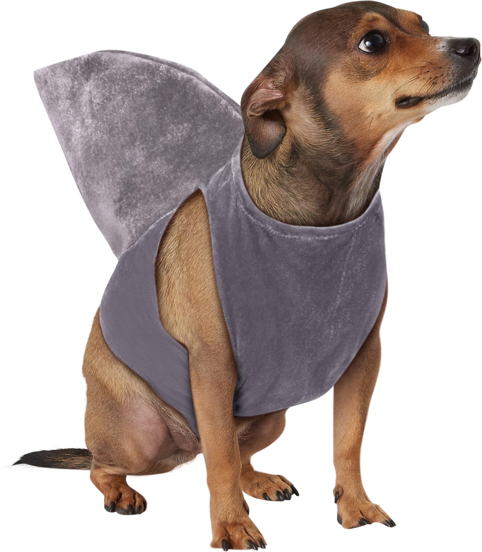 rubie-s-deluxe-haiflosse-hundekost-m-hai image 2