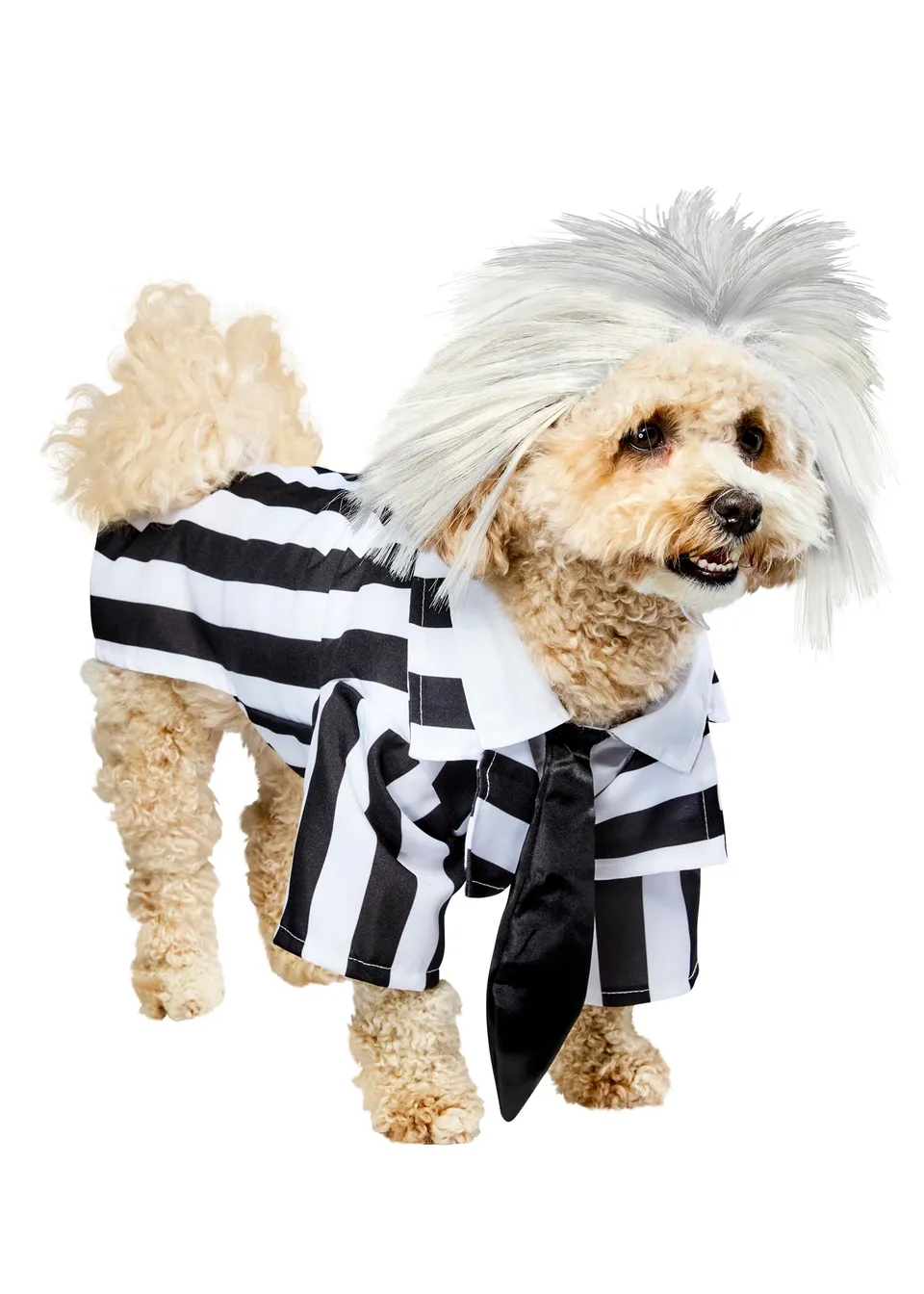 rubie-s-deluxe-beetlejuice-hundekost-m-gr-e-m-mit-per-cke image 1