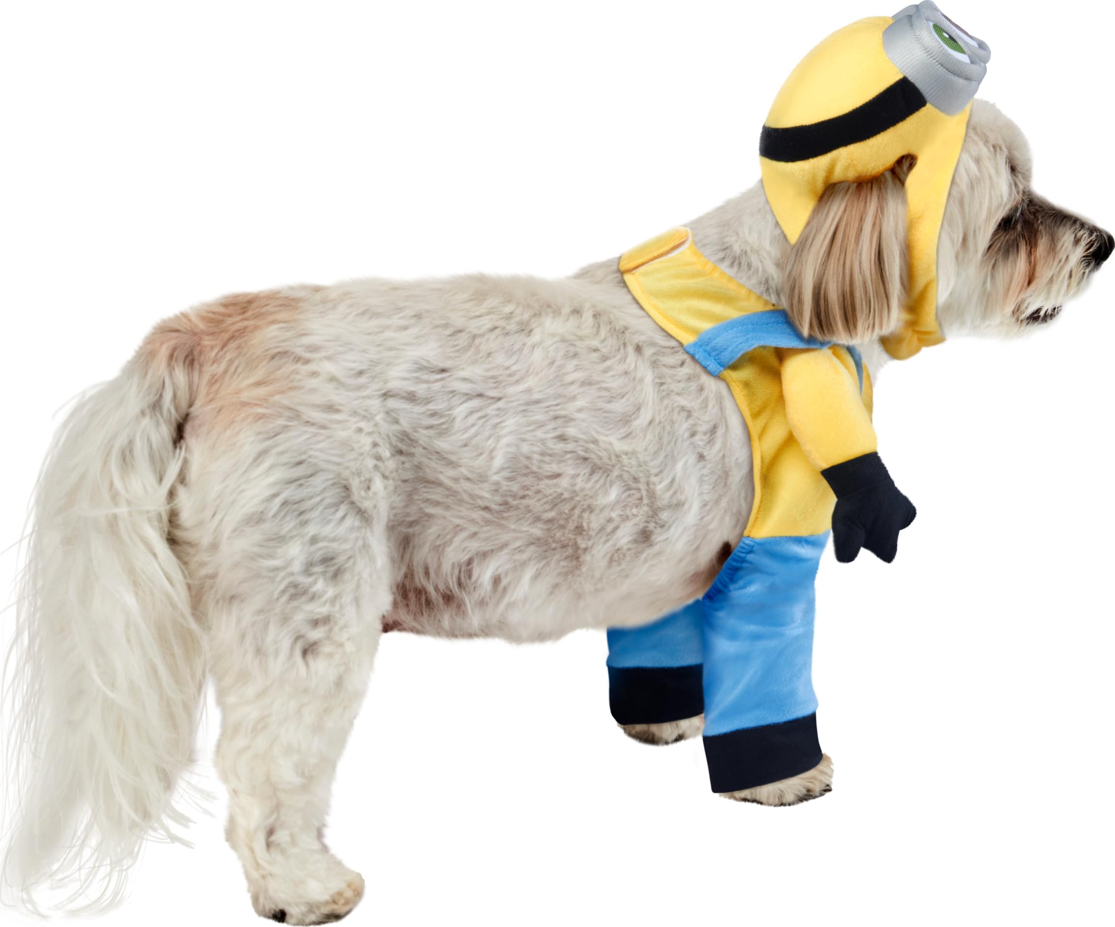 rubie-s-deluxe-minion-bob-hundekost-m-xs-minion image 3