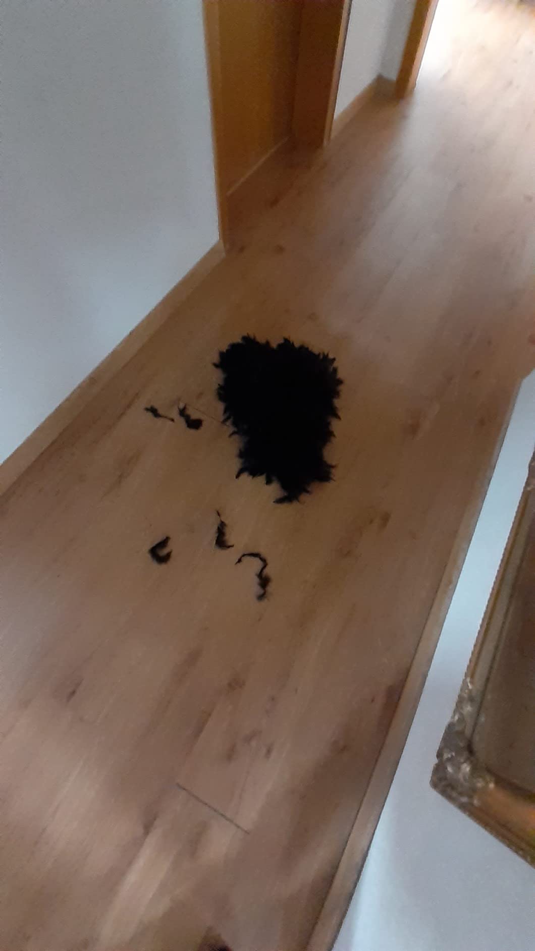 Flauschig