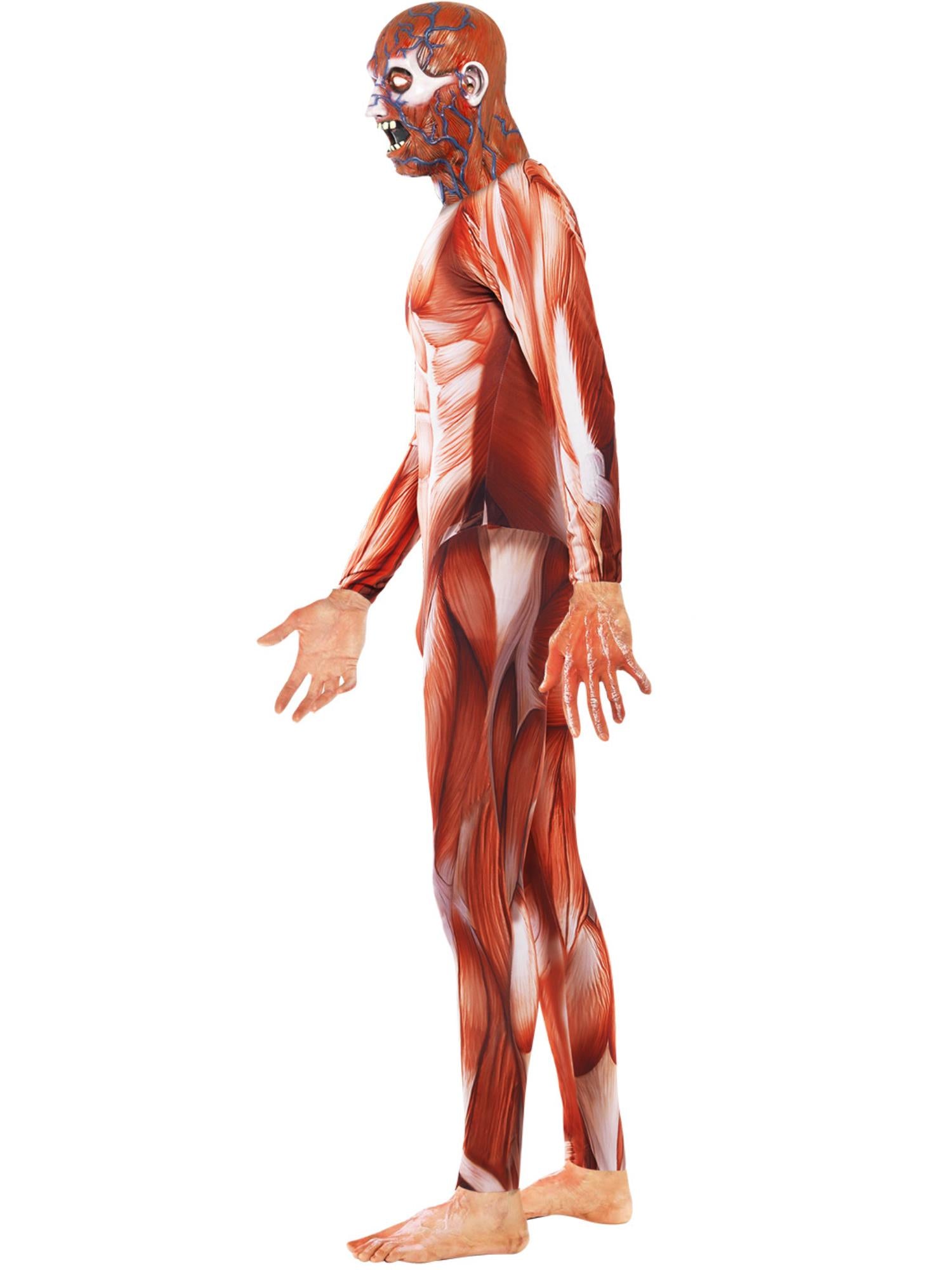 smiffys-fever-anatomy-man-kost-m-herren-m-rot-ganzk-rper image 3