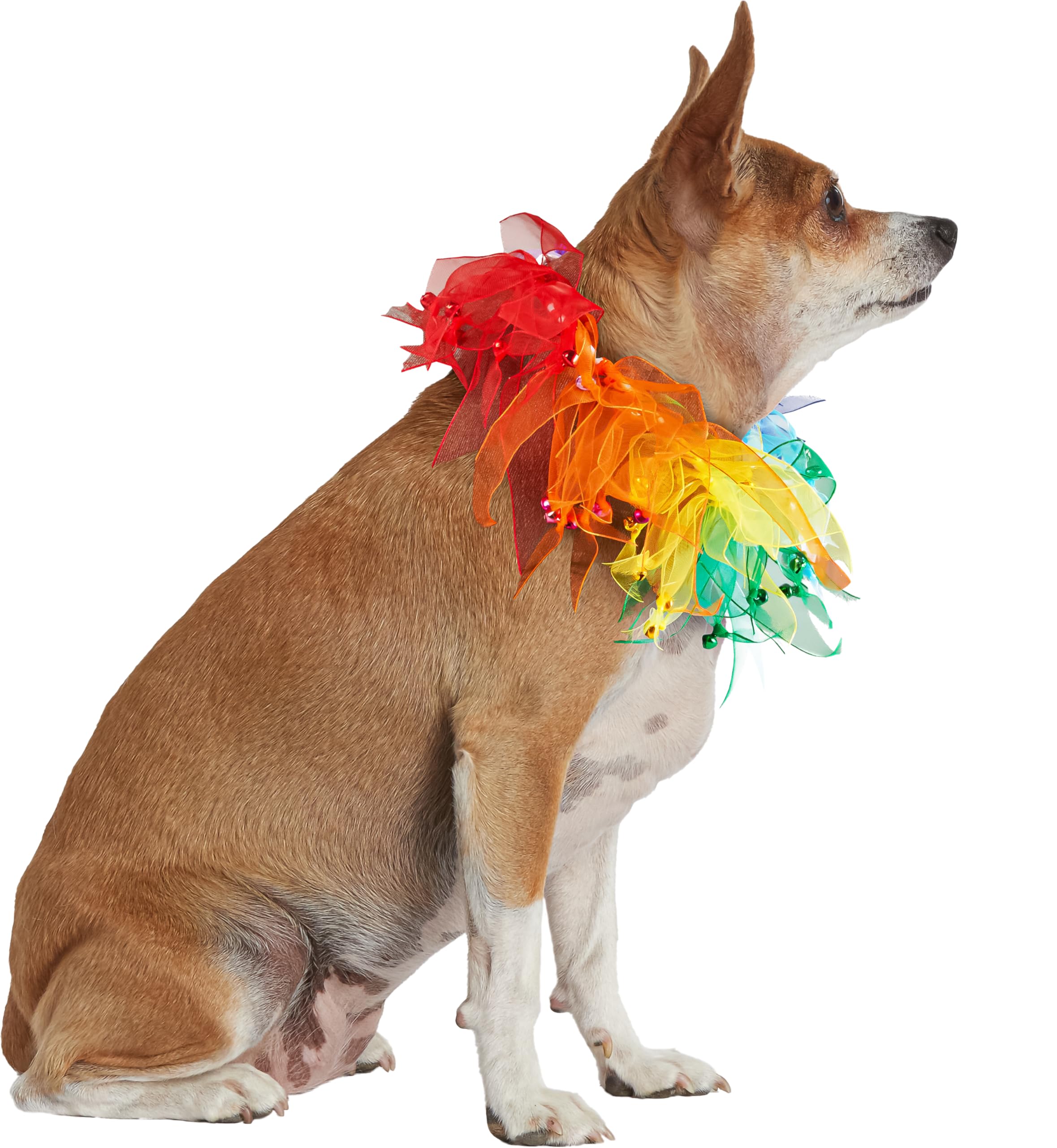 rubie-s-deluxe-fancy-rainbow-hundehalsband-one-size image 4