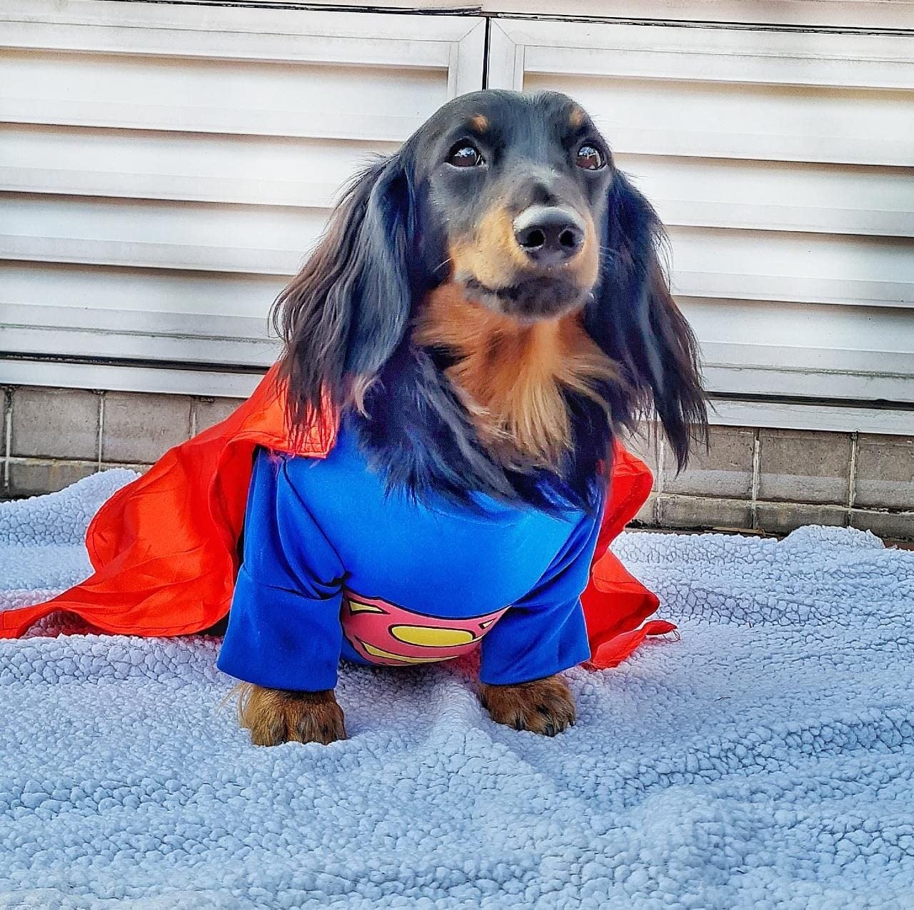 Super Fotos