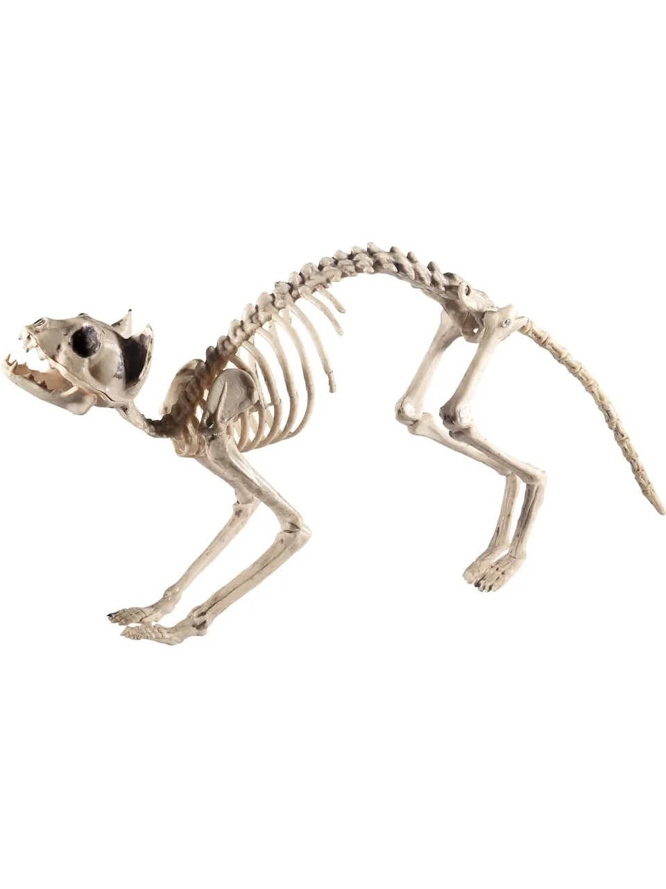 smiffys-fever-katzen-skelett-halloween-deko-figur-wei-60-cm image 1