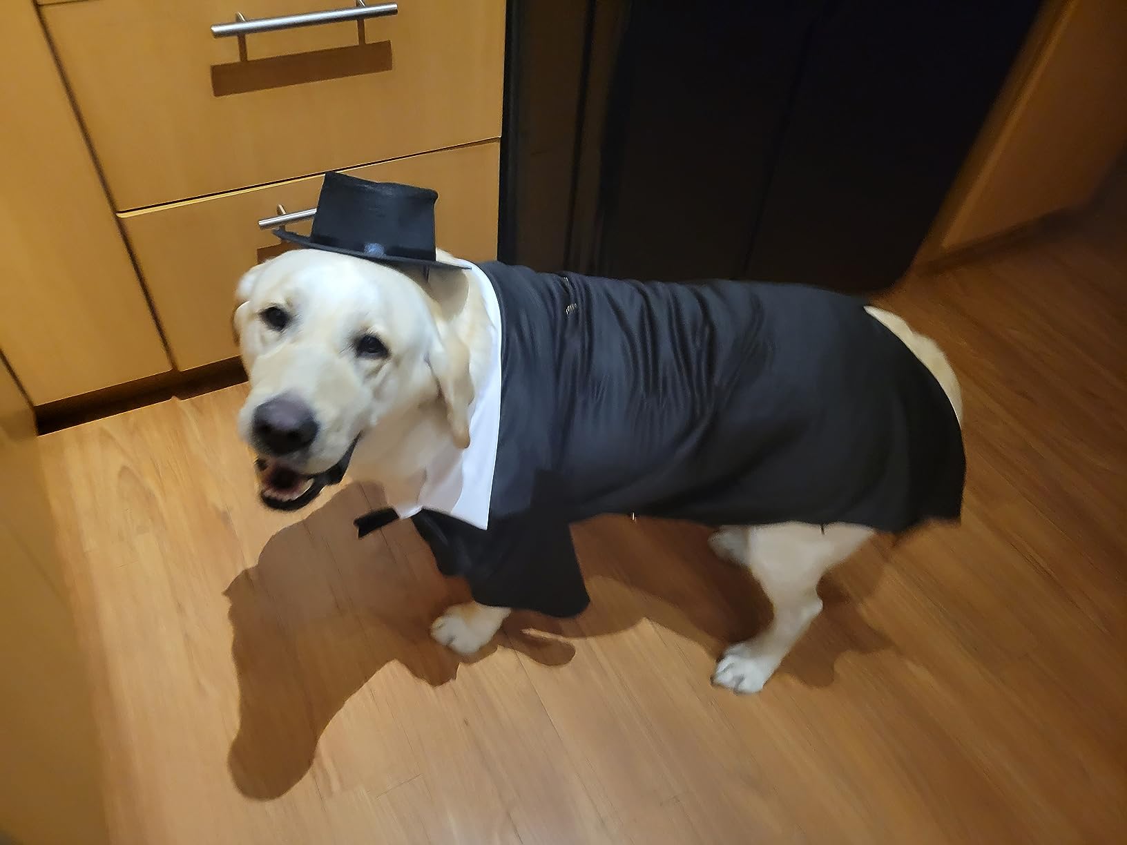 Hochzeitshit