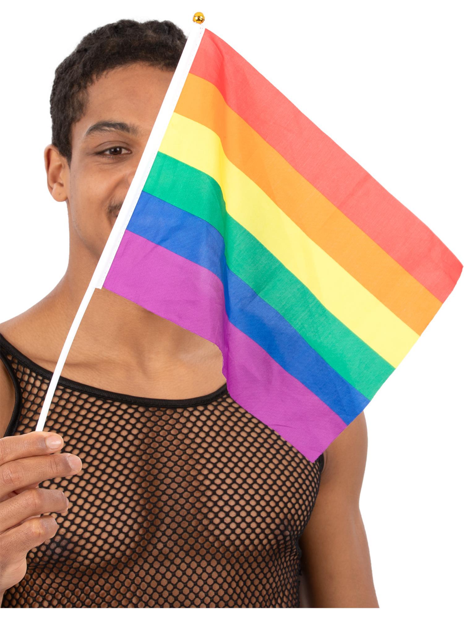 smiffys-fever-regenbogen-handflaggen-45x30-cm-12-st-ck-pride image 1