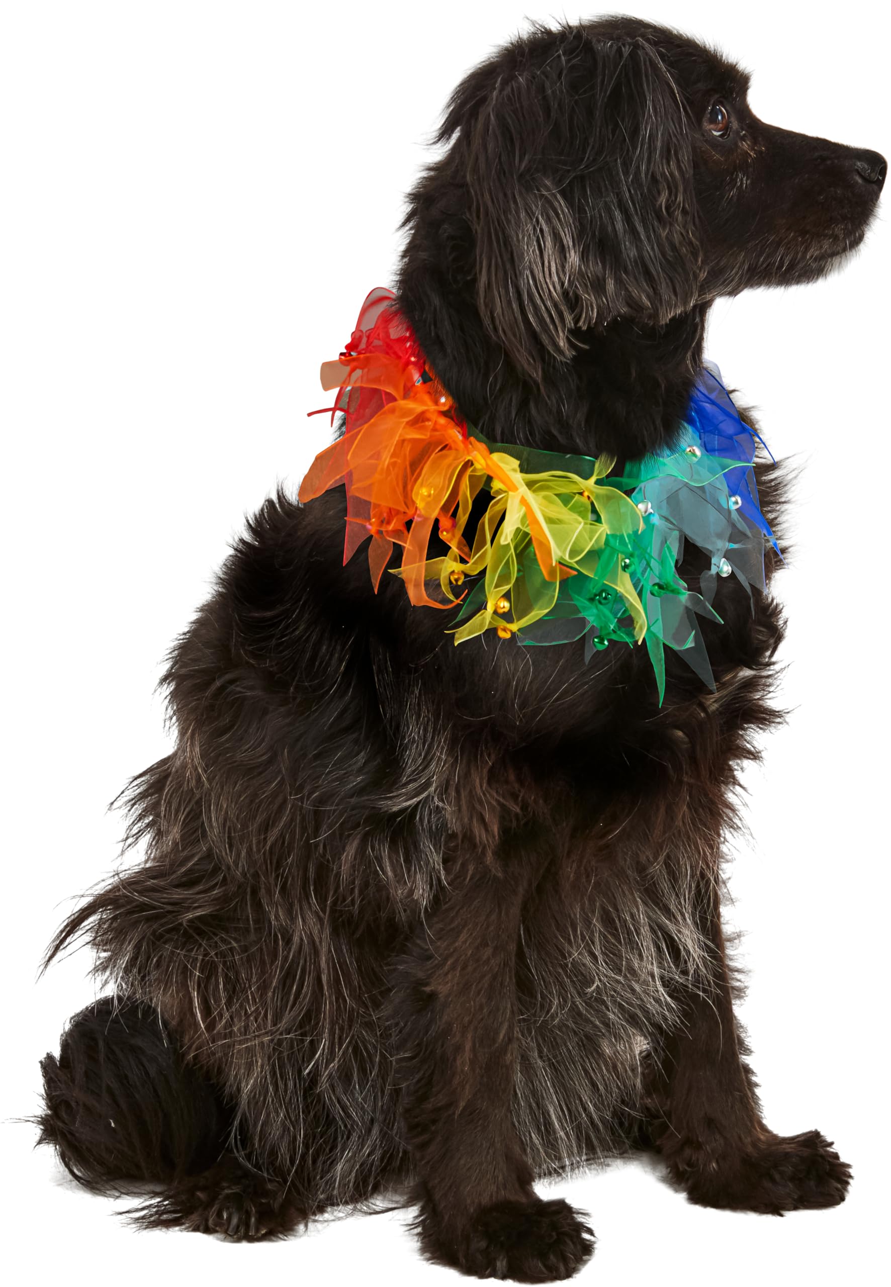 rubie-s-deluxe-fancy-rainbow-hundehalsband-one-size image 3