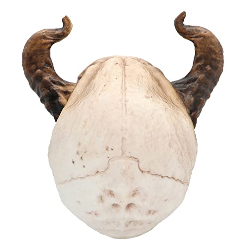 boland-halloween-73082-totenkopf-teufel-deko-20-cm-figur image 7