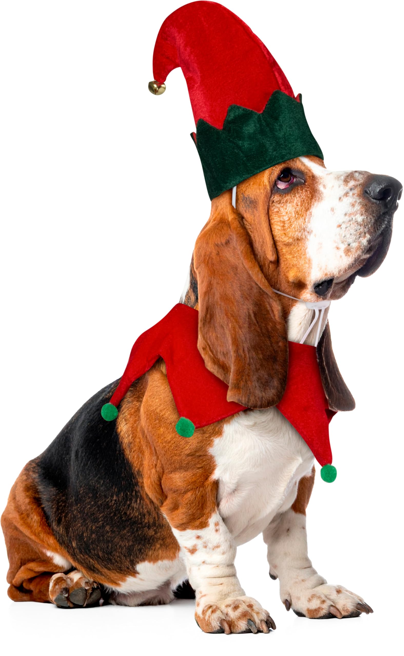 rubie-s-deluxe-hundekost-m-weihnachten-gr-n-m-l image 5