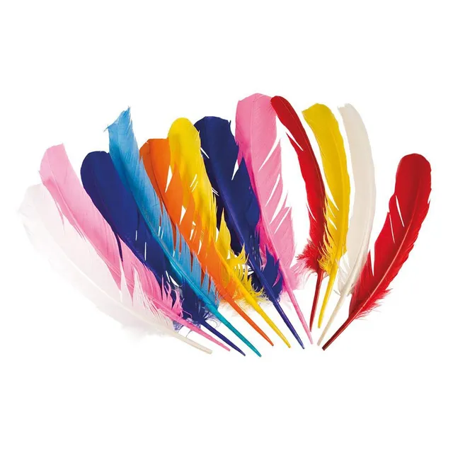 boland-indianer-federn-bunt-12-st-ck-kost-m-set image 1