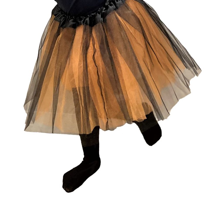 rubies-k-rbis-tutu-set-kinder-4-7-jahre-orange image 2