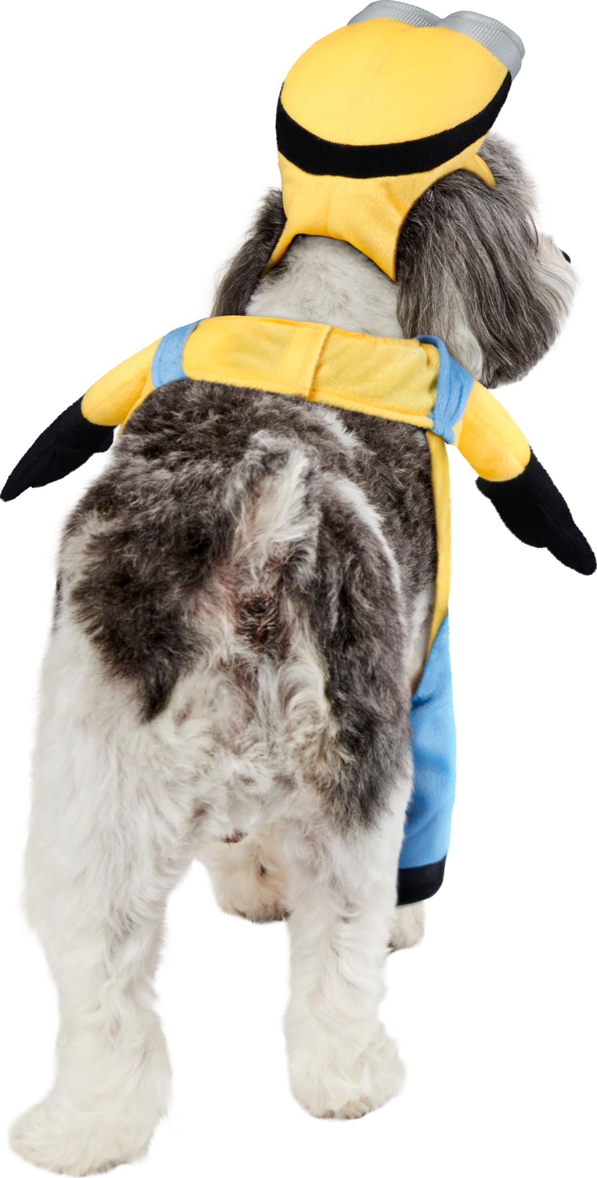 rubie-s-deluxe-minion-bob-hundekost-m-xs-minion image 4
