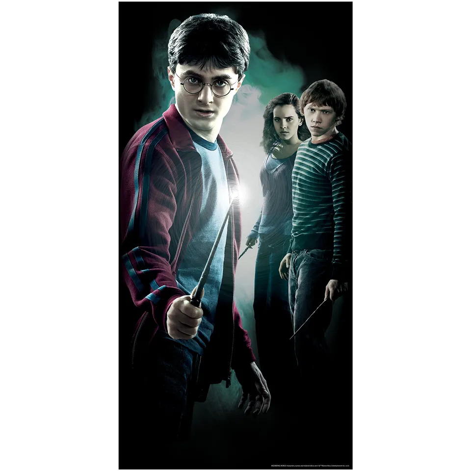 rubie-s-deluxe-harry-potter-t-rabdeckung-harry-76-x-152-cm image 1