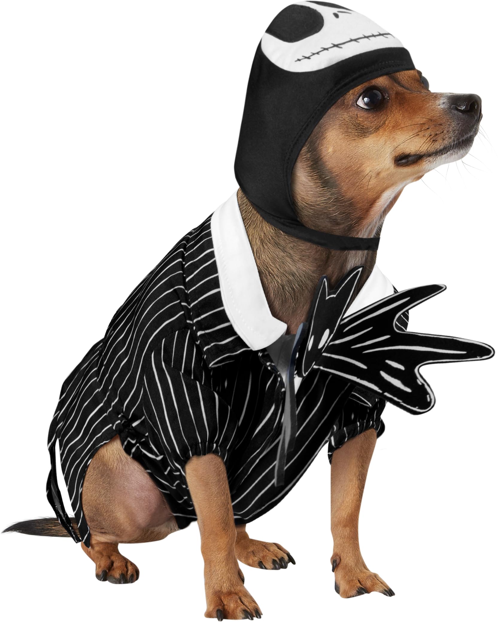 rubie-s-jack-skellington-haustierkost-m-l-hundekost-m image 5