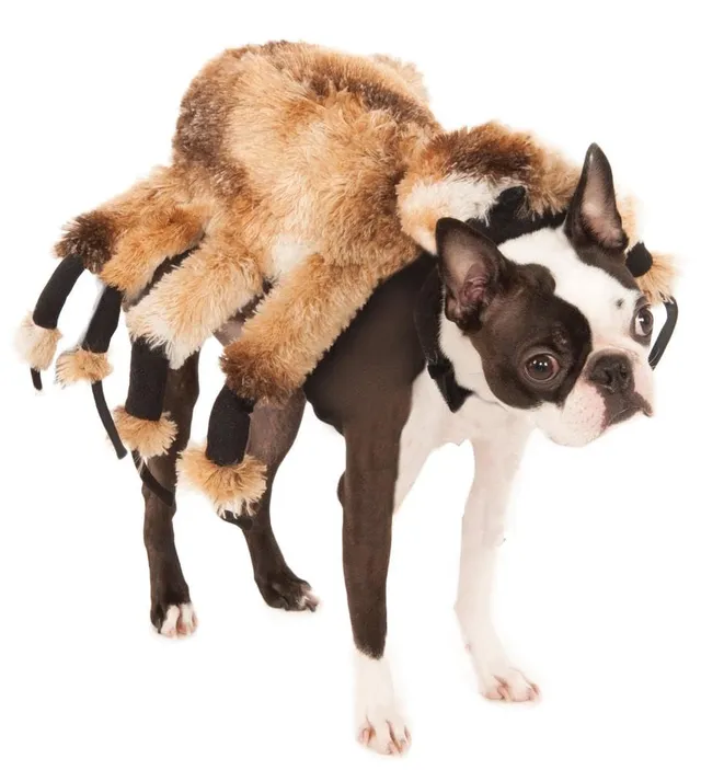 rubie-s-deluxe-spinne-hundekost-m-braun-gr-e-m-pl-sch image 1