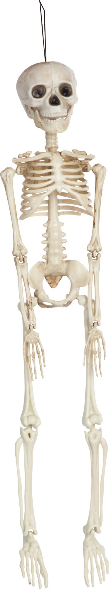 rubies-d-coration-squelette-articul-skelett-45-cm-pvc image 1