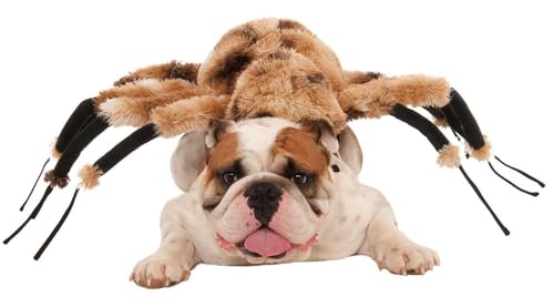rubie-s-deluxe-spinne-hundekost-m-braun-gr-e-m-pl-sch image 6