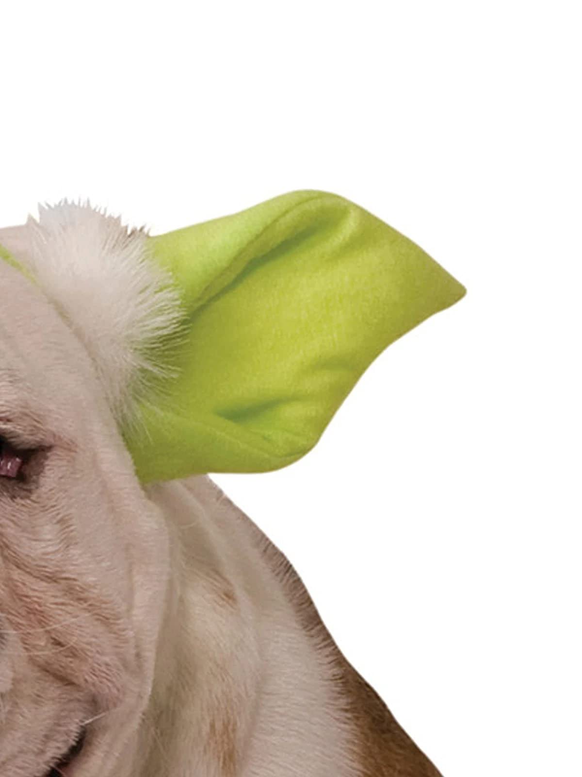 rubie-s-deluxe-yoda-hundekopfbedeckung-m-l-hundem-tze image 3