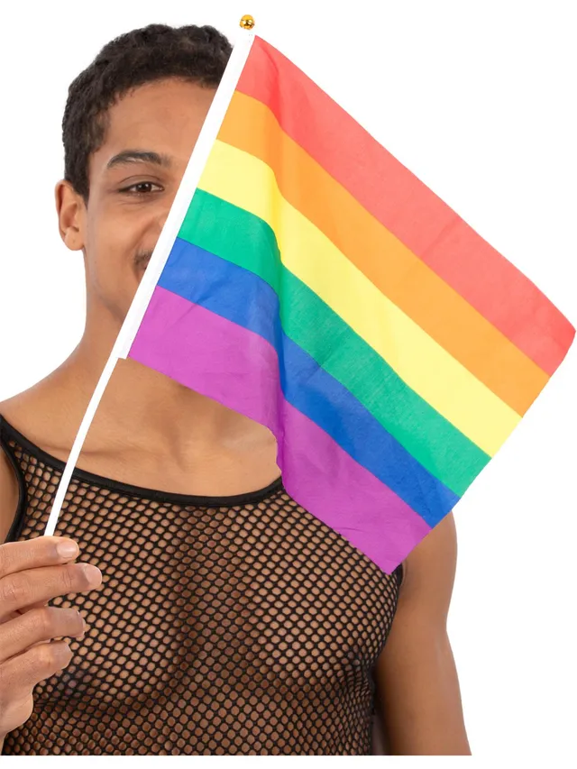 smiffys-fever-regenbogen-handflaggen-45x30-cm-12-st-ck-pride image 1