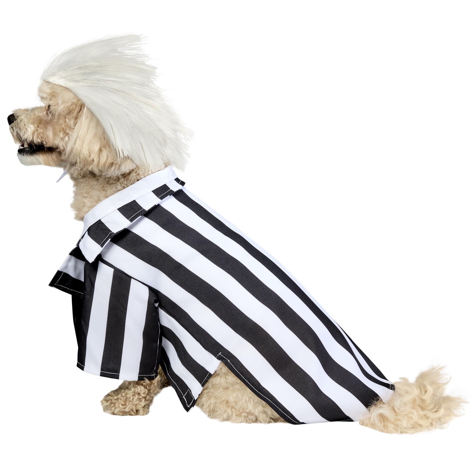 rubie-s-deluxe-beetlejuice-hundekost-m-gr-e-m-mit-per-cke image 4