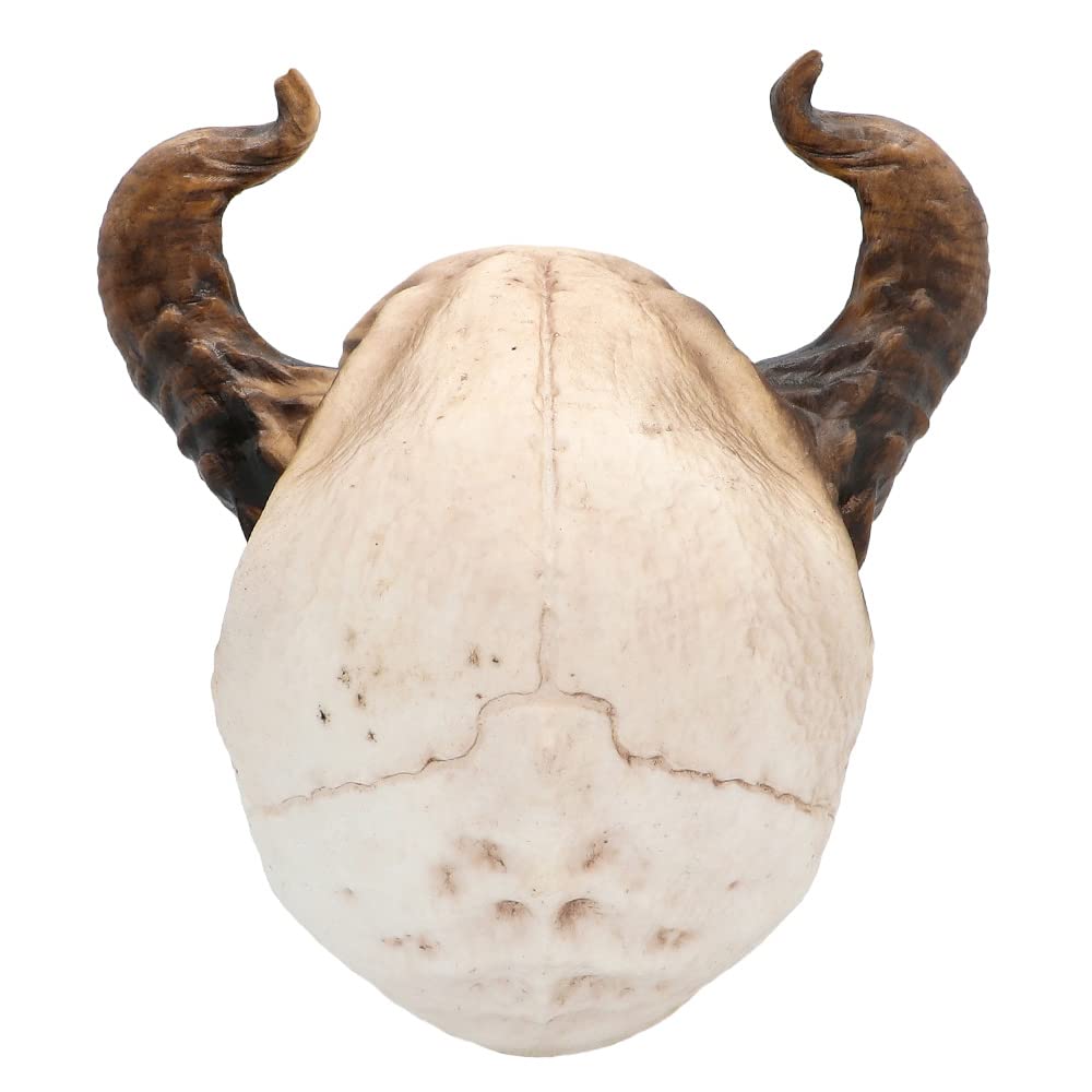boland-halloween-73082-totenkopf-teufel-deko-20-cm-figur image 3