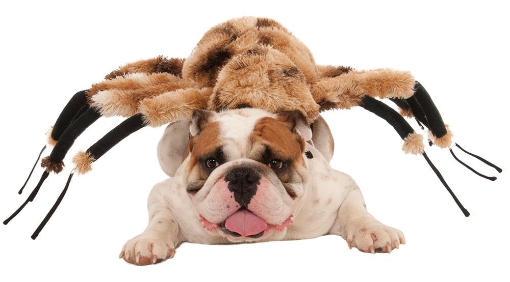 rubie-s-deluxe-spinne-hundekost-m-braun-gr-e-m-pl-sch image 2