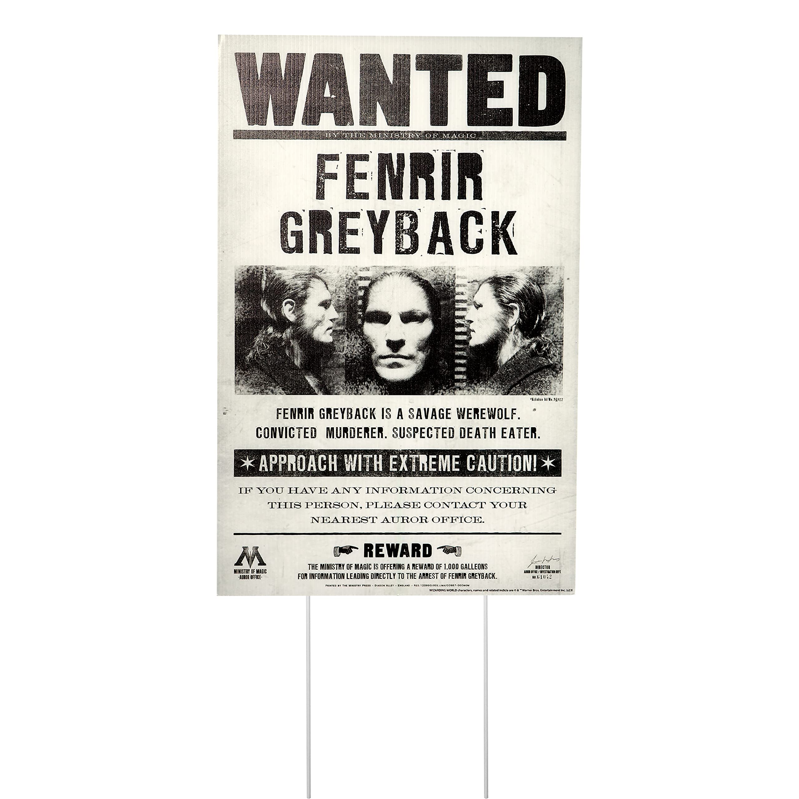 rubie-s-deluxe-harry-potter-wanted-schilder-5er-rasendeko image 4