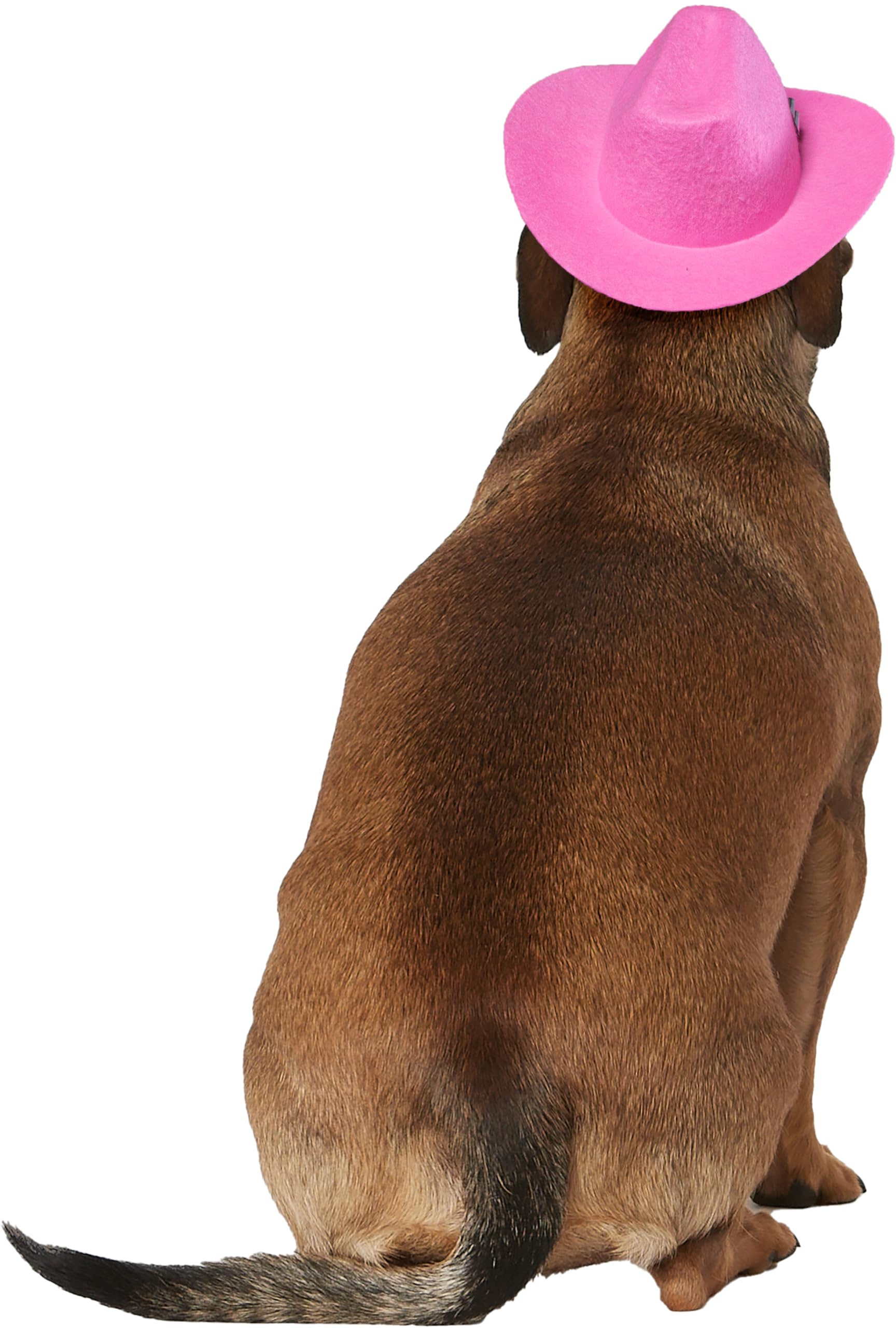 rubie-s-deluxe-cowgirl-hut-hundekost-m-pink-m-l-mit-tiara image 4