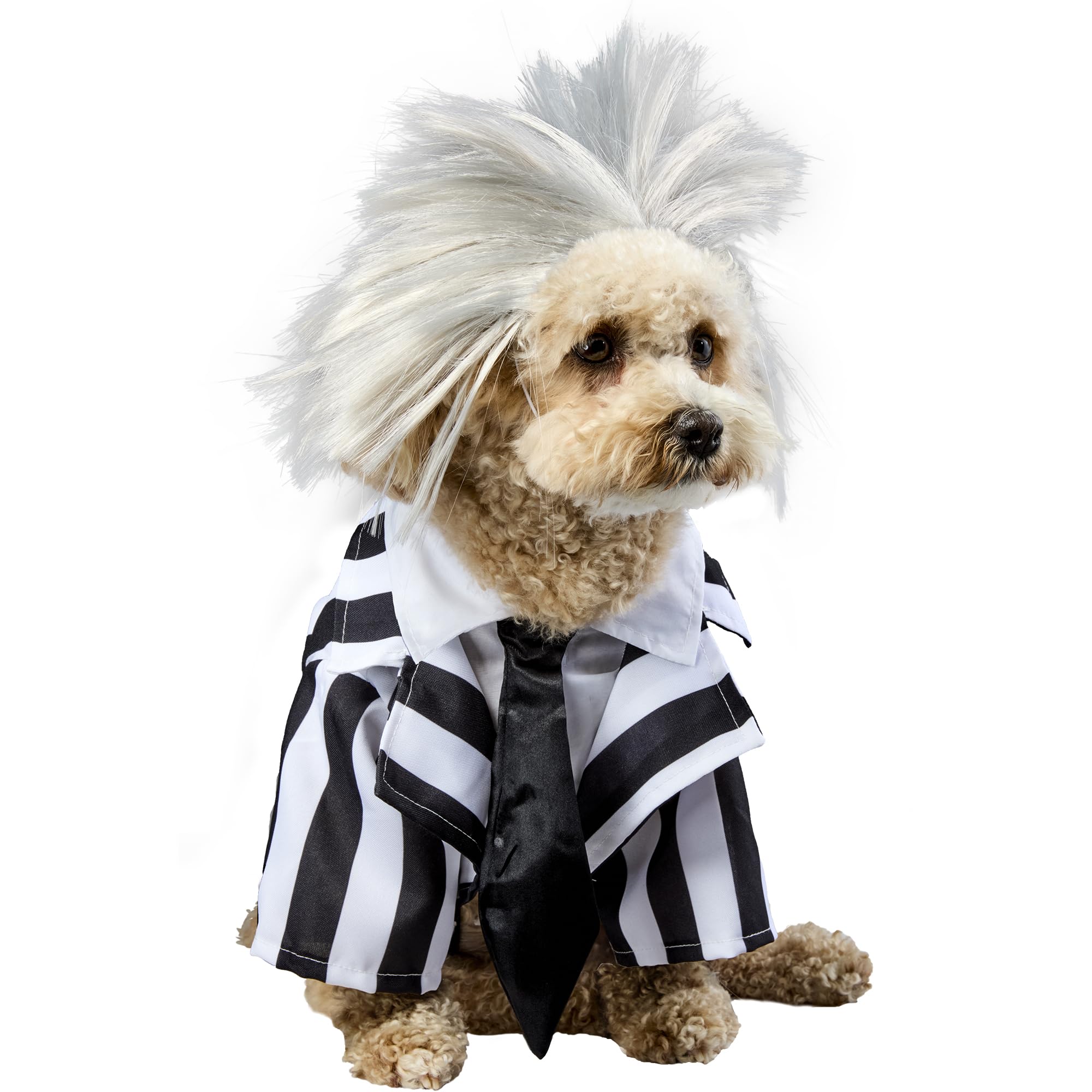 rubie-s-deluxe-beetlejuice-hundekost-m-gr-e-m-mit-per-cke image 3