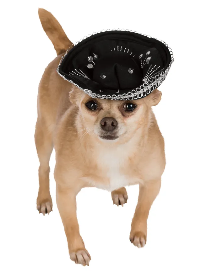 rubie-s-deluxe-sombrero-hundehut-m-l-silber-schwarz image 1
