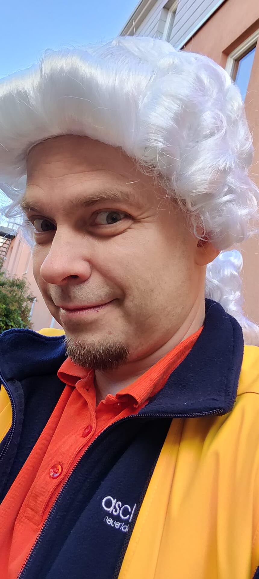 Toller Effekt