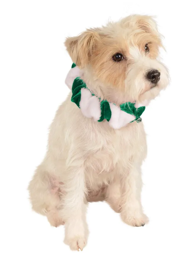 rubie-s-deluxe-hundekost-m-halsband-s-m-gr-n-wei-gl-ckchen image 1